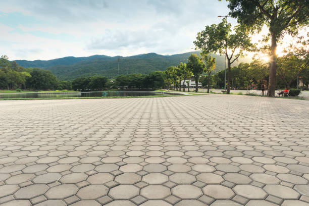 Best Driveway Paving Contractor  in Westmont, PA
